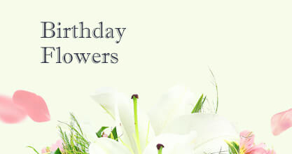 Birthday Flowers Paddington