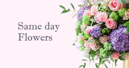 Same day Flowers Paddington